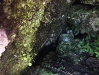 iara Scorciavacca-20110306 054